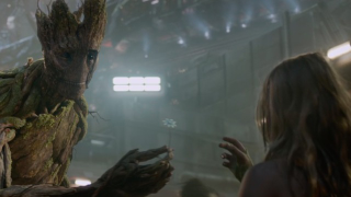 Illustration for article titled What Real-Life Plants Could Groot Have Evolved From?